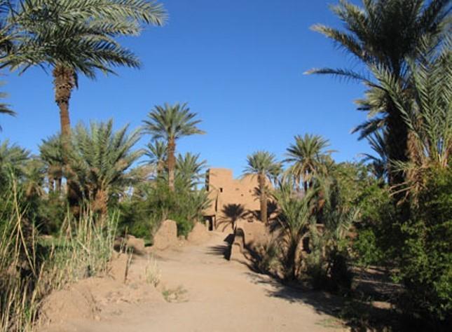 Kasbah Berbere Ouriz Hotel Agdz Buitenkant foto